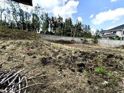 Quarter Acre in Ongata Rongai, Kandisi With Perimeter Wall - Image 5