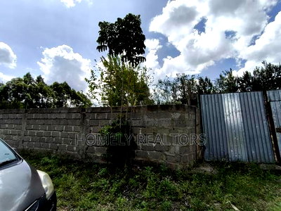 Quarter Acre in Ongata Rongai, Kandisi With Perimeter Wall - Image 4