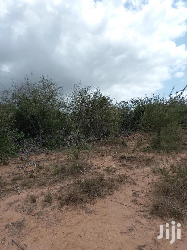 For Sale 170 Acres Agricultural Land Magarini
