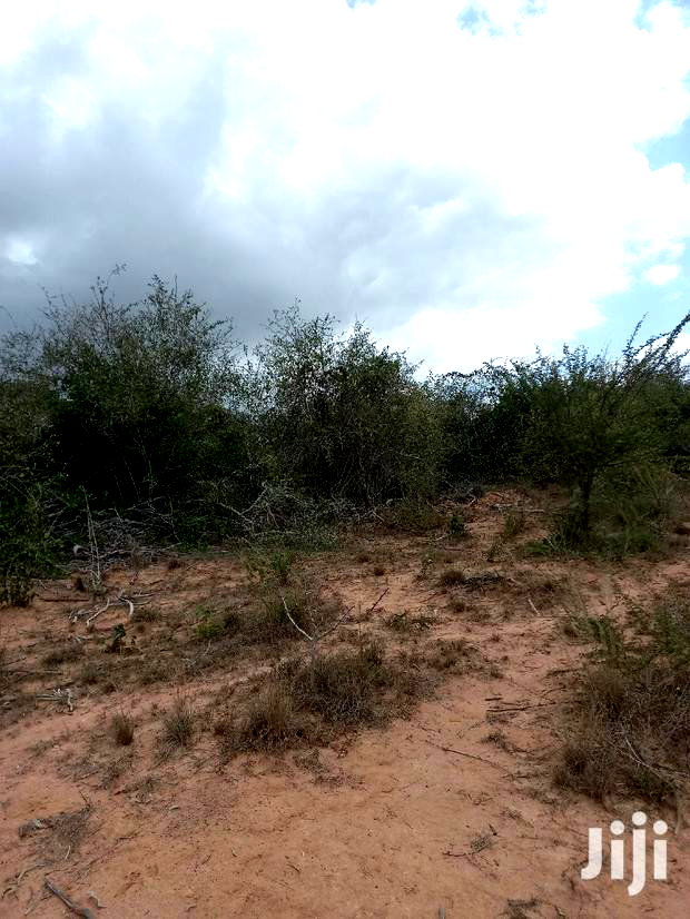 For Sale 170 Acres Agricultural Land Magarini