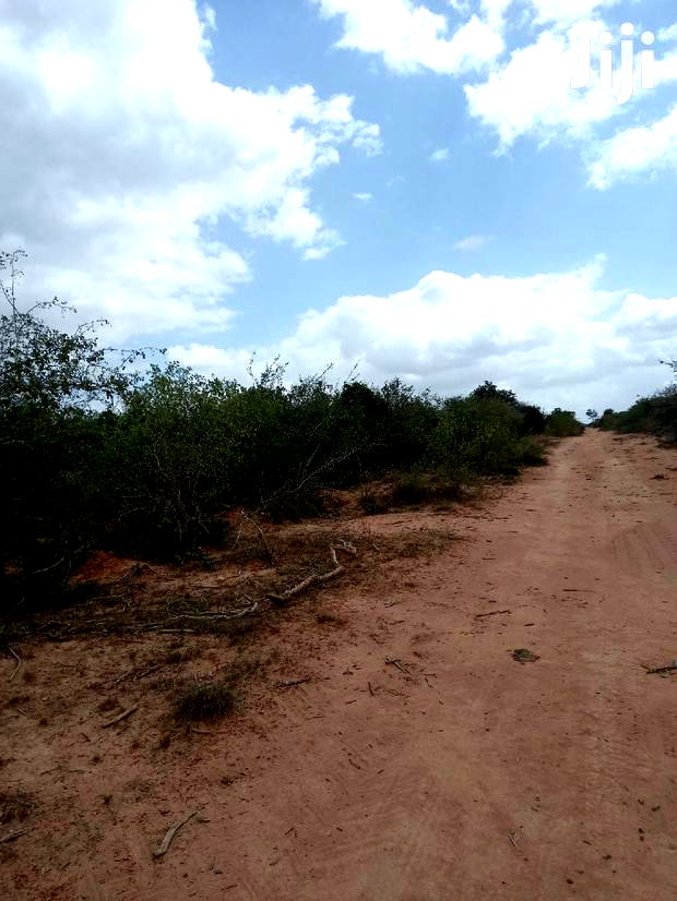 For Sale 170 Acres Agricultural Land Magarini