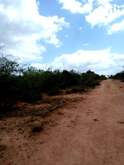 For Sale 170 Acres Agricultural Land Magarini - Image 3