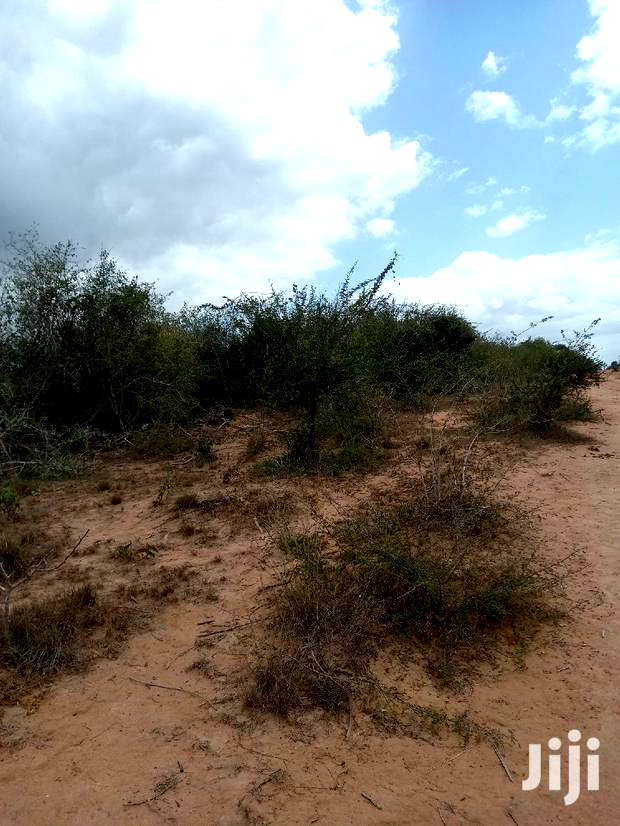 For Sale 170 Acres Agricultural Land Magarini