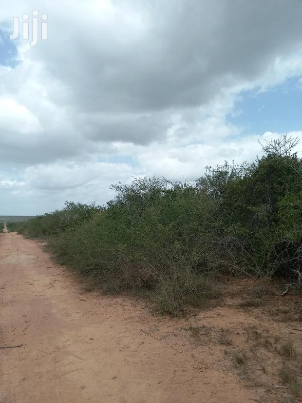 For Sale 170 Acres Agricultural Land Magarini