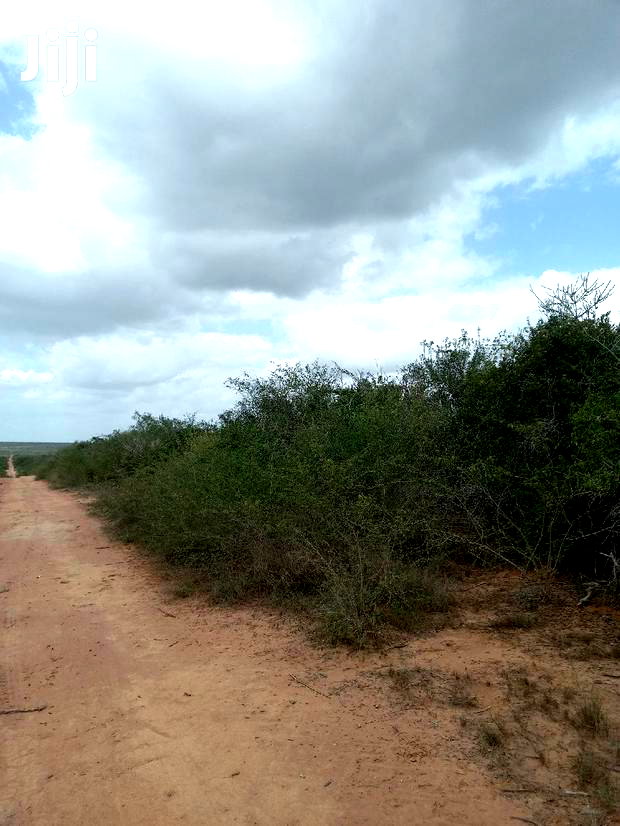 For Sale 170 Acres Agricultural Land Magarini