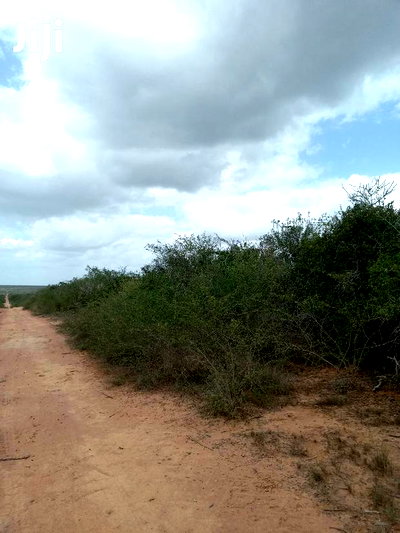 For Sale 170 Acres Agricultural Land Magarini - Image 4