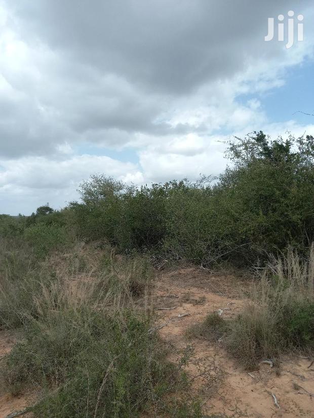 For Sale 170 Acres Agricultural Land Magarini