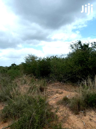 For Sale 170 Acres Agricultural Land Magarini - Image 1