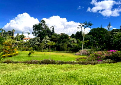 3-Acre Garden Office Space for Sale