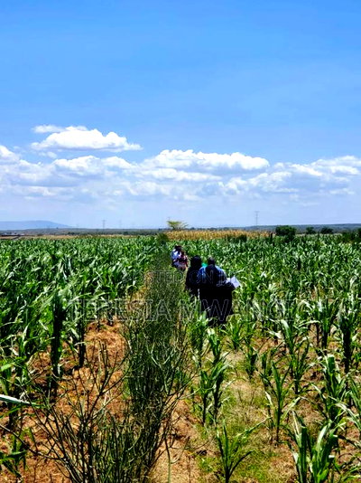 Affordable Plot for Sale in Maai Mahiu - Image 3