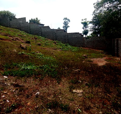 250.2 Acres in Kangemi with Garden