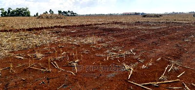 Prime 5 Acres Land for Sale in Ray Farm Moiben Eldoret - Image 3