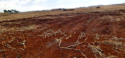 Prime 5 Acres Land for Sale in Ray Farm Moiben Eldoret - Image 4
