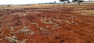 Prime 5 Acres Land for Sale in Ray Farm Moiben Eldoret - Image 5