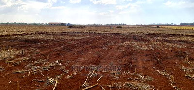 Prime 5 Acres Land for Sale in Ray Farm Moiben Eldoret - Image 2