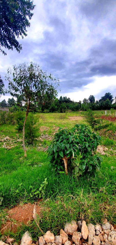 Half an Acre Land for Sale Ondiri - Image 3