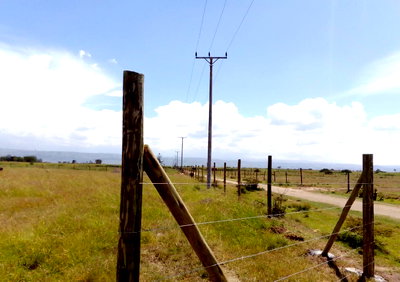 50x100 Plot with Garden at KSh 450K