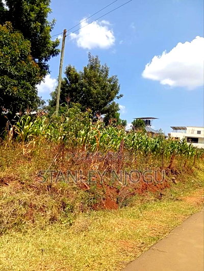 Prime Residential Plots 50-100fts in Kikuyu Kamangu - Image 9