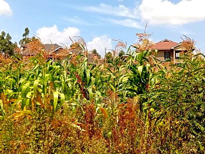 Prime Residential Plots 50-100fts in Kikuyu Kamangu - Image 13