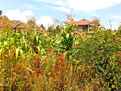 Prime Residential Plots 50-100fts in Kikuyu Kamangu - Image 10