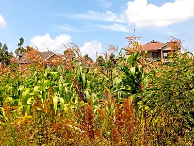 Prime Residential Plots 50-100fts in Kikuyu Kamangu - Image 11