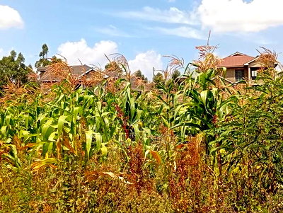 Prime Residential Plots 50-100fts in Kikuyu Kamangu - Image 12
