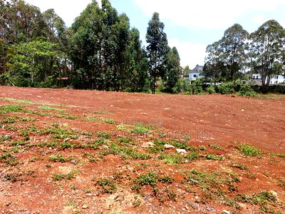 Runda Estate 1/2 Plot Located in a Serene Location Selling - Image 3