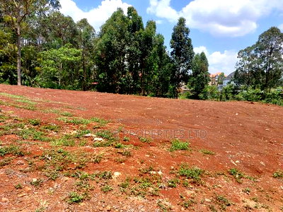 Runda Estate 1/2 Plot Located in a Serene Location Selling - Image 6