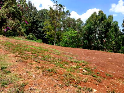 Runda Estate 1/2 Plot Located in a Serene Location Selling - Image 5