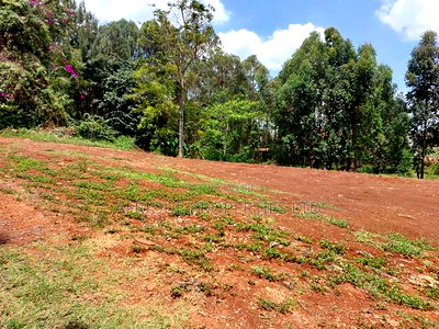 Runda Estate 1/2 Plot Located in a Serene Location Selling - Image 4