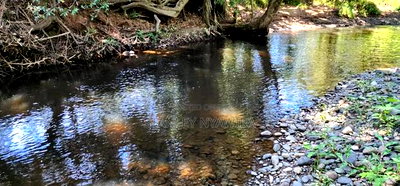 12 Acreas Nanyuki Narumoro Fronting River - Image 2
