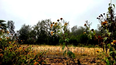 Commercial Land for Sale in Makuyu - Image 9