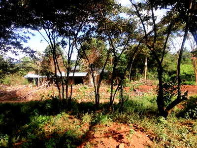 100x100 Residential Plot for Sale in Kikuyu Rose Gate - Image 4