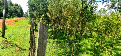5 Acres Land for Sale in Mlango Kapseret in Eldoret - Image 10