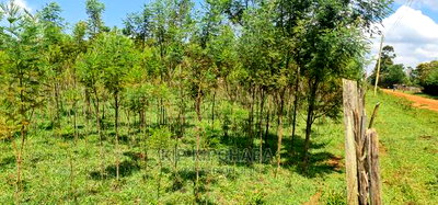 5 Acres Land for Sale in Mlango Kapseret in Eldoret - Image 11
