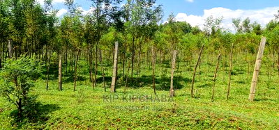 5 Acres Land for Sale in Mlango Kapseret in Eldoret - Image 6