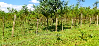 5 Acres Land for Sale in Mlango Kapseret in Eldoret - Image 4