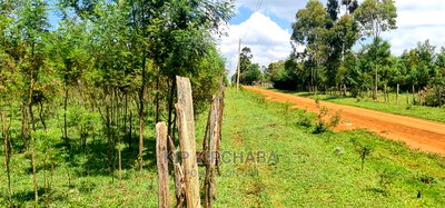 5 Acres Land for Sale in Mlango Kapseret in Eldoret - Image 9