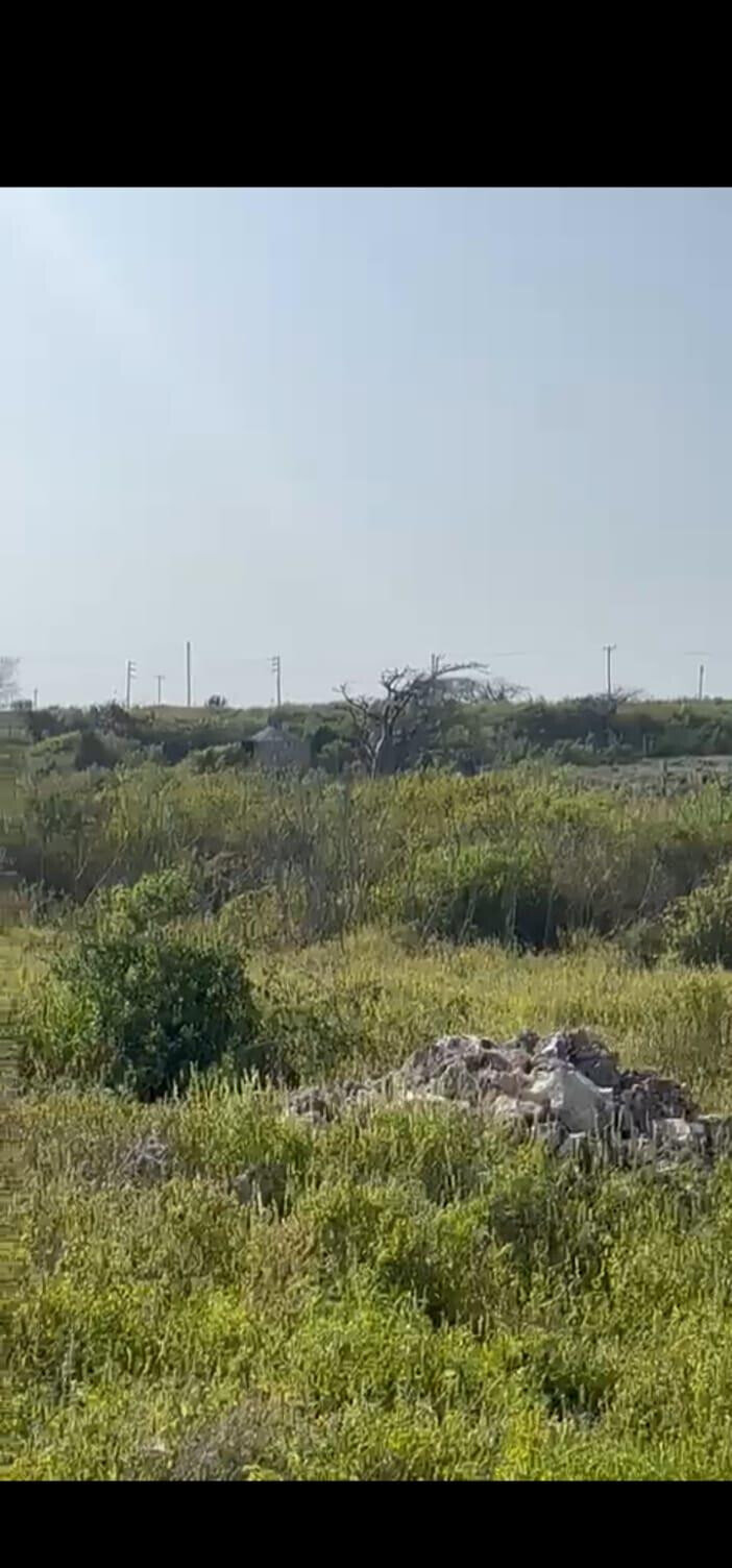 9.6-Acre Beachfront Land in Watamu
