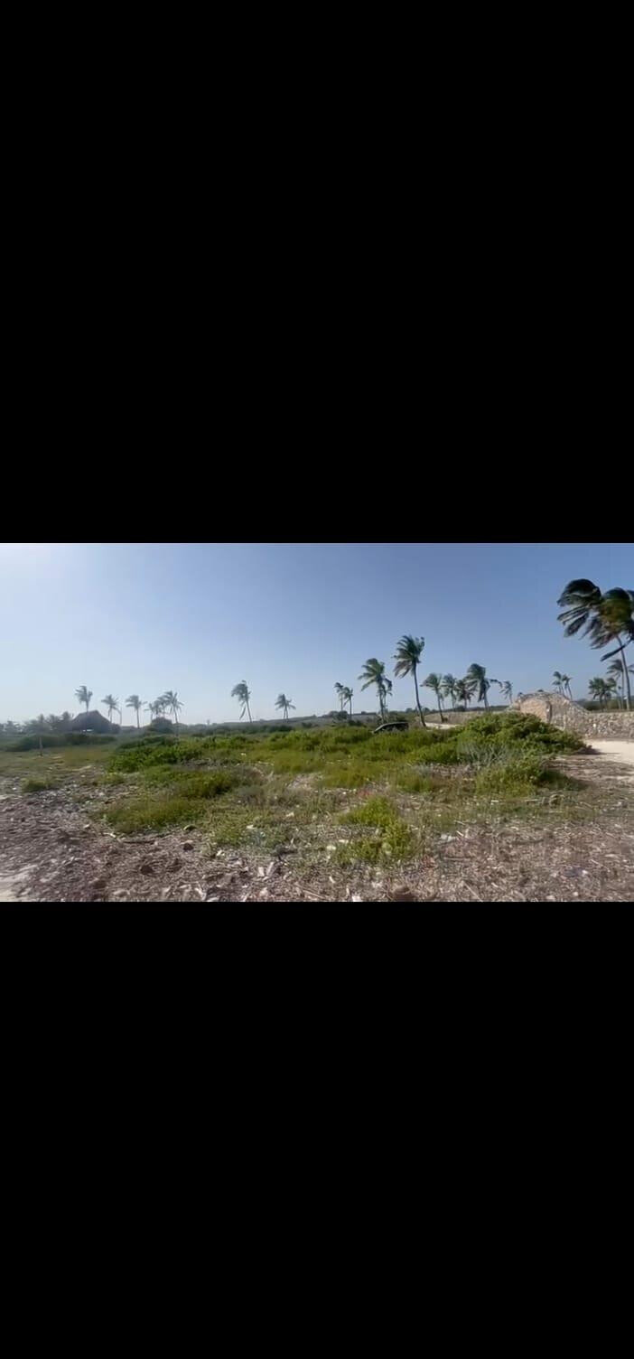 9.6-Acre Beachfront Land in Watamu