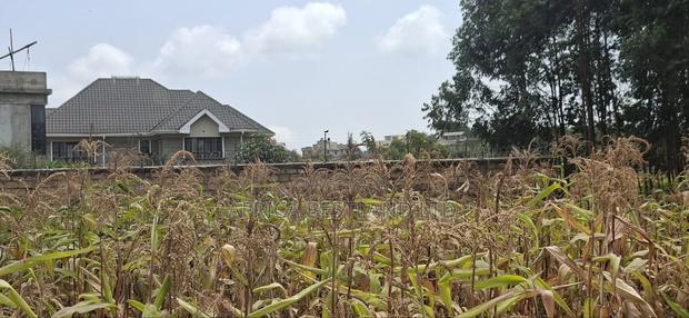 100x100 Available Plot for Sale in Kikuyu Lusigetti Kiambu County