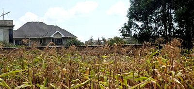 100x100 Available Plot for Sale in Kikuyu Lusigetti Kiambu County - Image 1