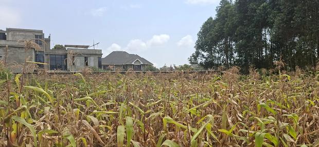 100x100 Available Plot for Sale in Kikuyu Lusigetti Kiambu County