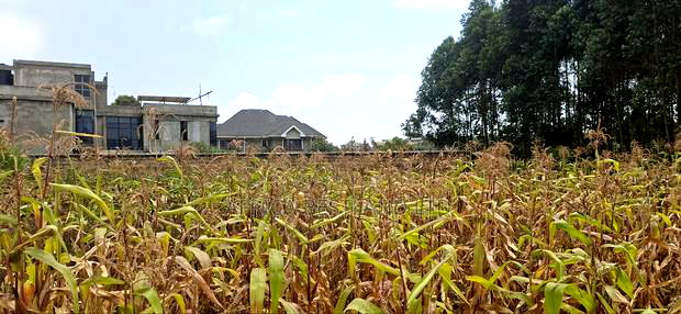 100x100 Available Plot for Sale in Kikuyu Lusigetti Kiambu County