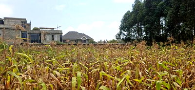 100x100 Available Plot for Sale in Kikuyu Lusigetti Kiambu County - Image 4