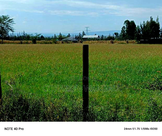 50*100plots in Nakuru,Kongasis