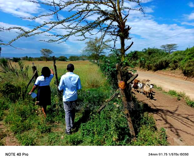 50*100plots in Nakuru,Kongasis