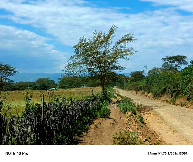 50*100plots in Nakuru,Kongasis