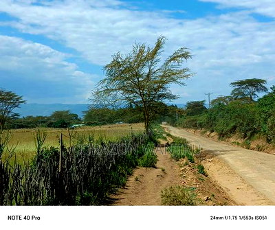 50*100plots in Nakuru,Kongasis - Image 2