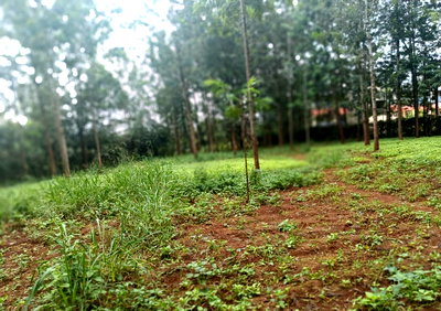 1 Acre Garden Plot with Parking